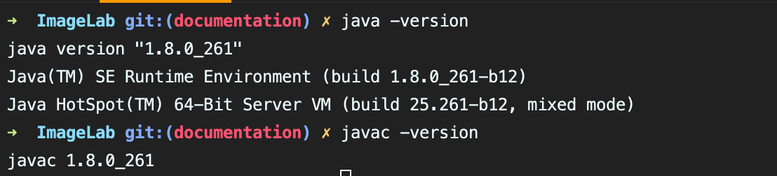 verify_java